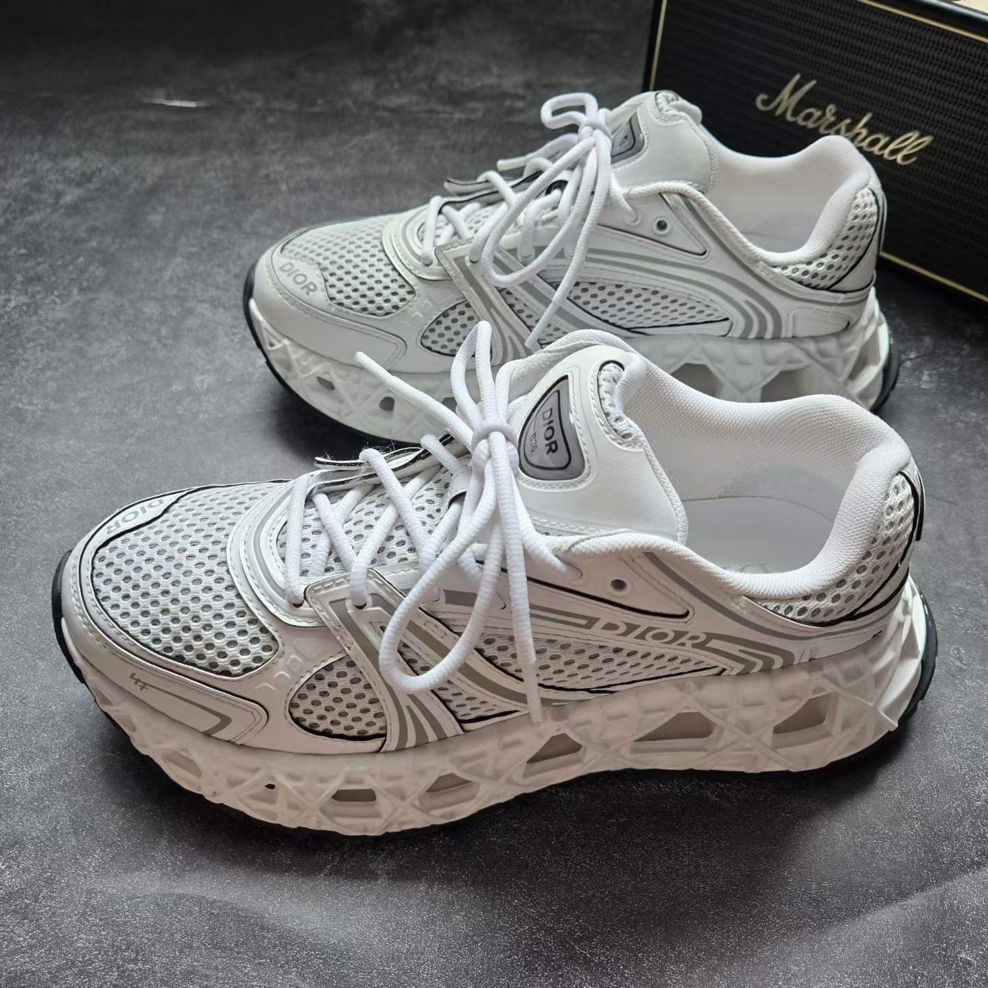 Dior B35 White Sneakers