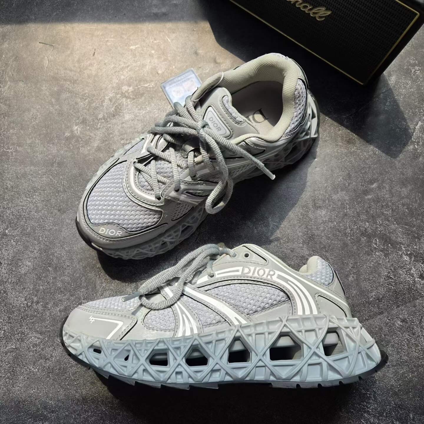 Dior B35 Gray Sneakers — back