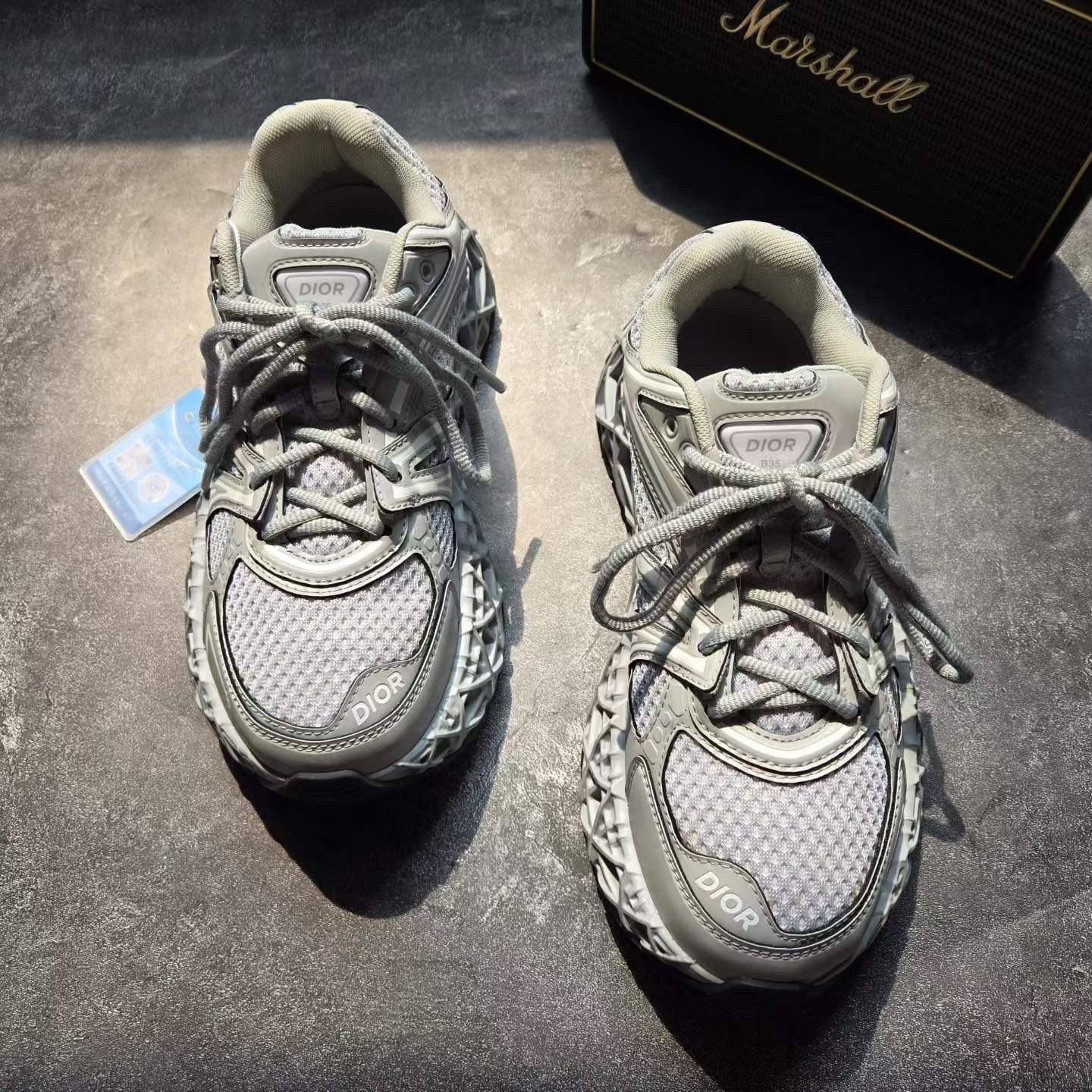 Dior B35 Gray Sneakers — front