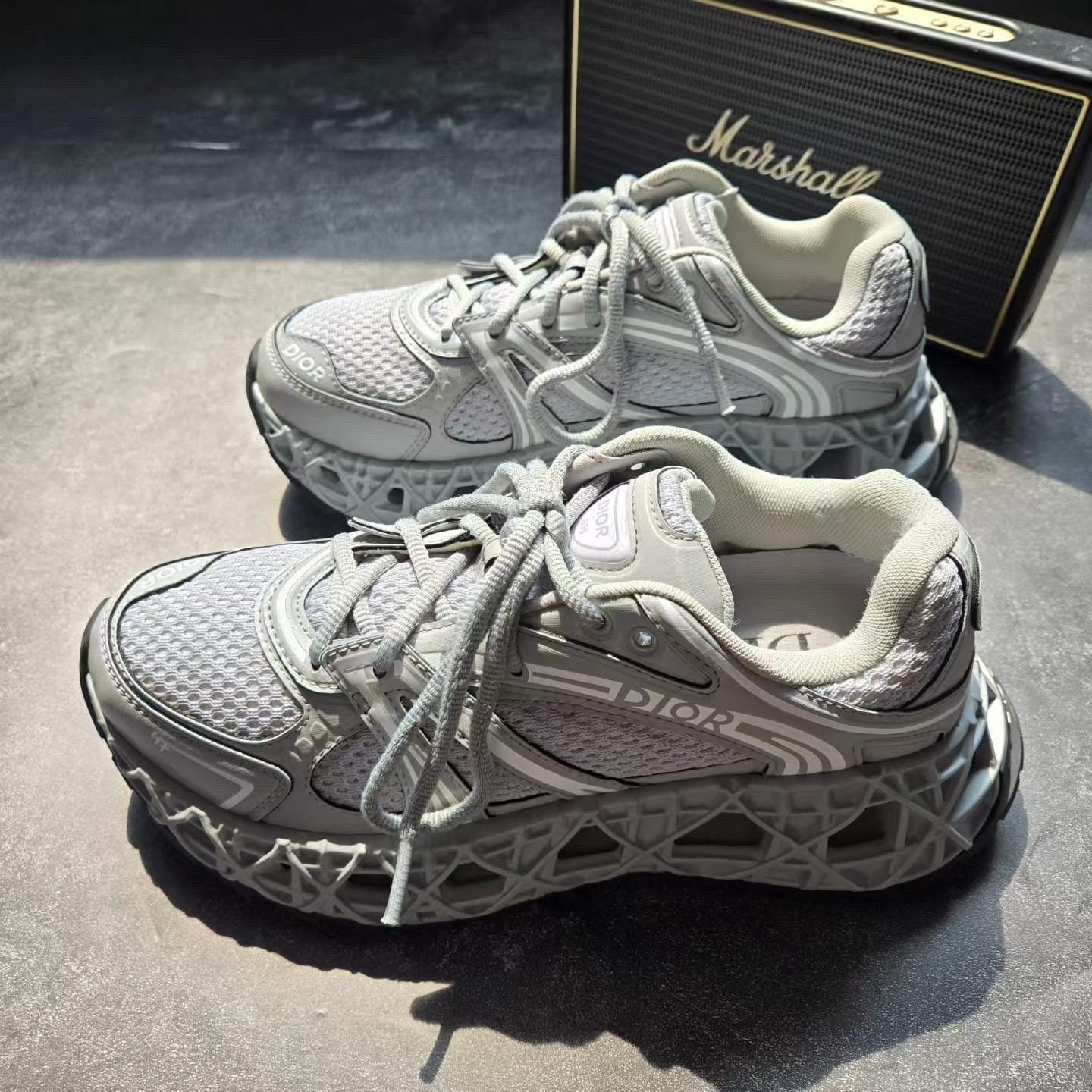 Dior B35 Gray Sneakers