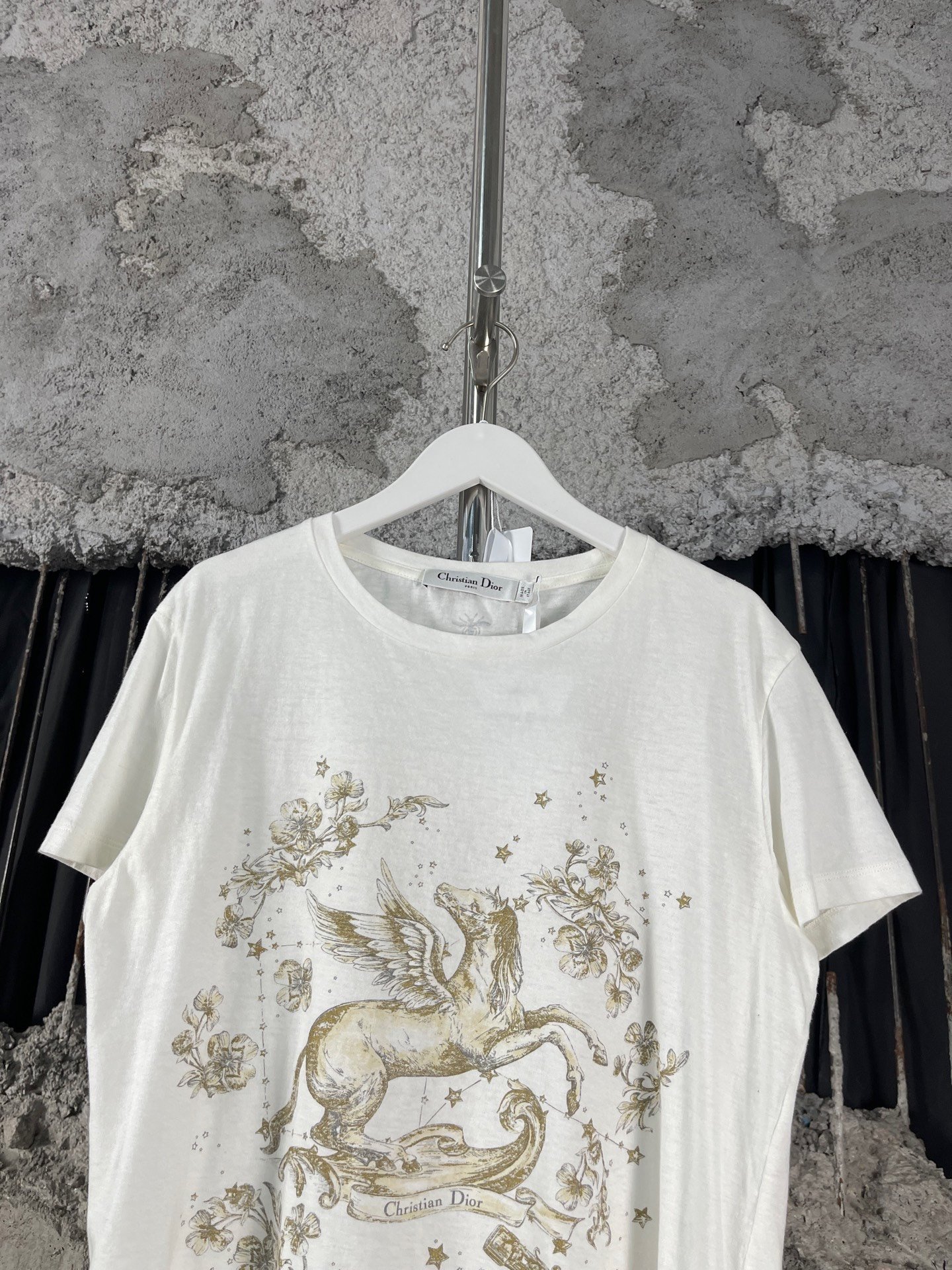 Dior Pegasus Short Sleeve T-Shirt — detail