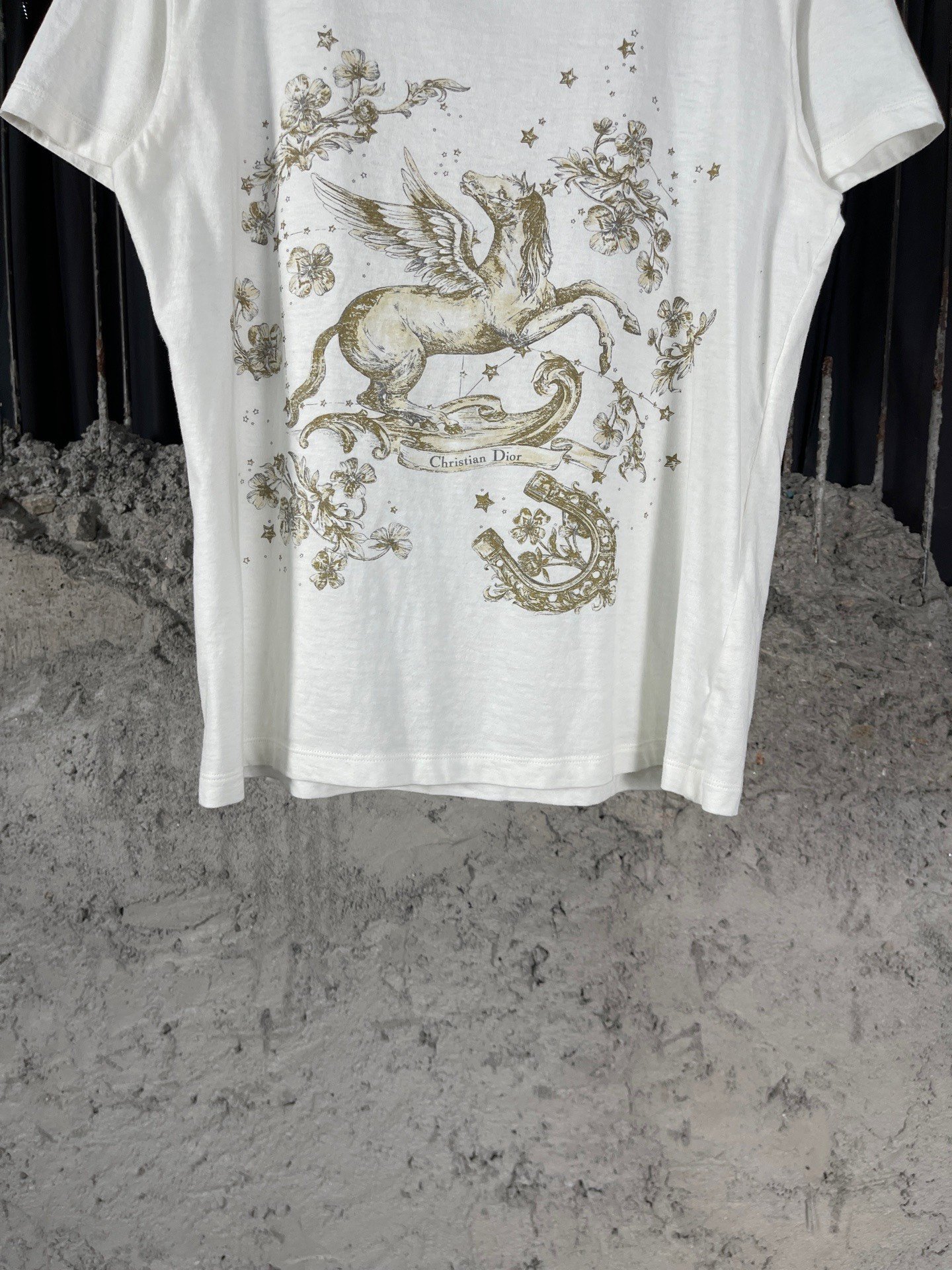 Dior Pegasus Short Sleeve T-Shirt — back