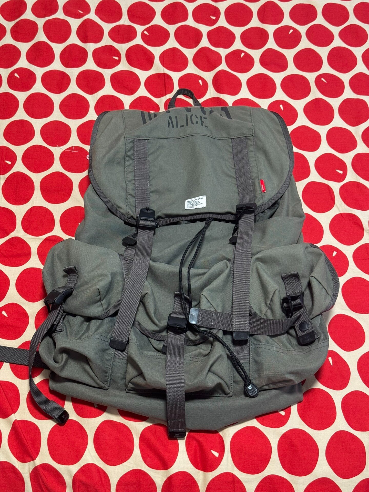 WTAPS ALICE BAG 08ss Backpack