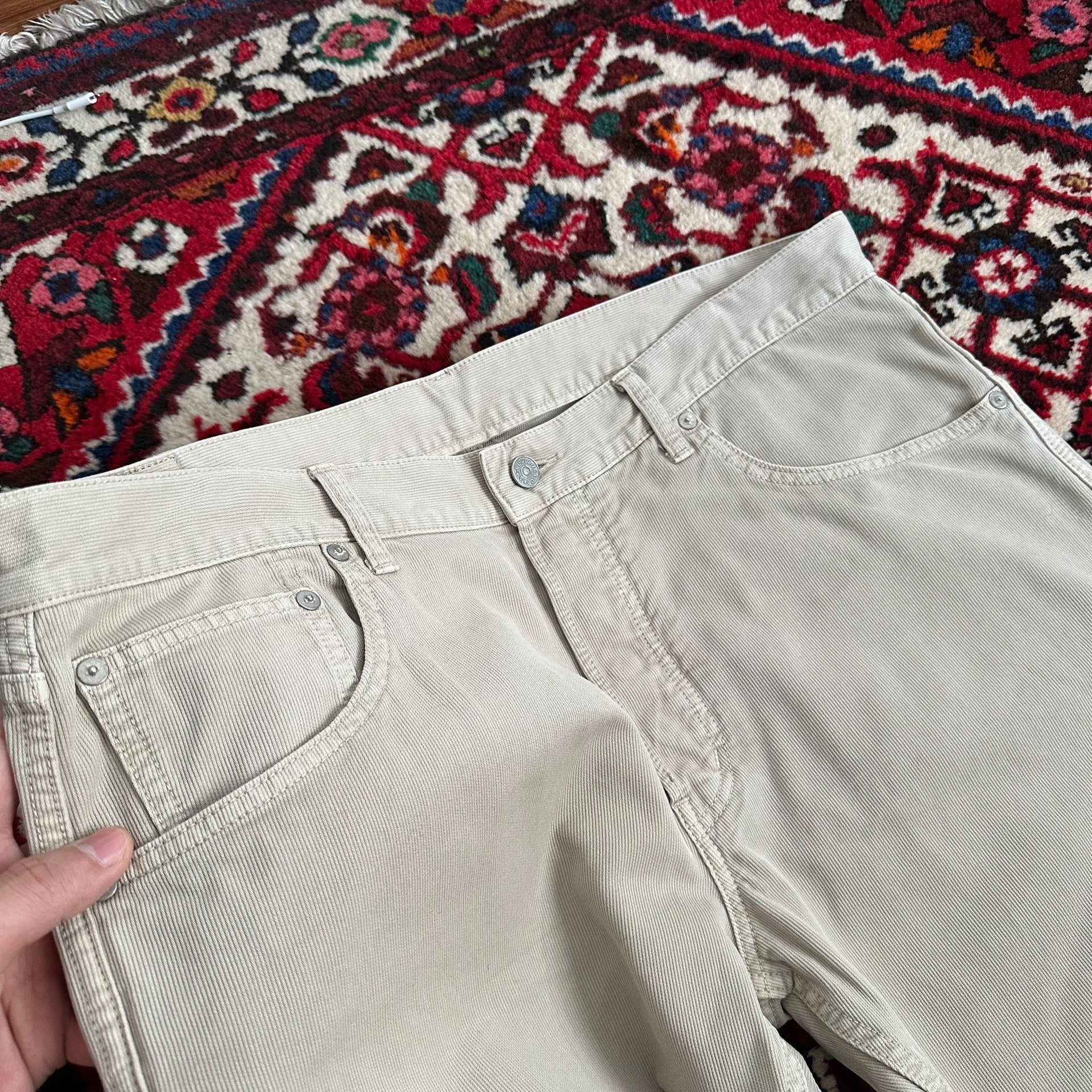 VISVIM 24SS FLUXUS 01 DMGD Beige Casual Pants — back