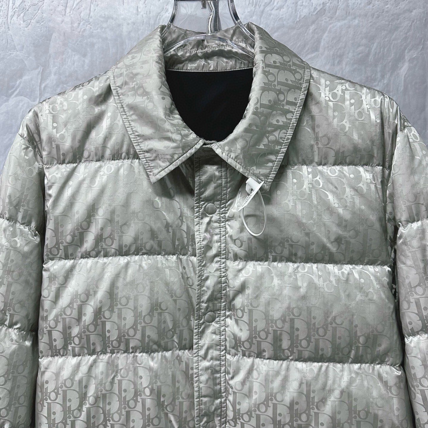 Dior Light Gray Full-Print Lapel Down Jacket — front