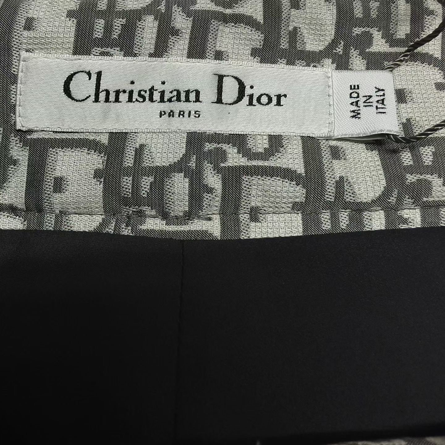 Dior Ski Collection Gray Monogram Pants — back