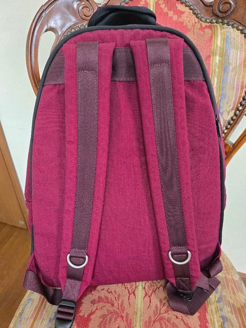 PORTER WILLOW Wine Red Casual Backpack — back