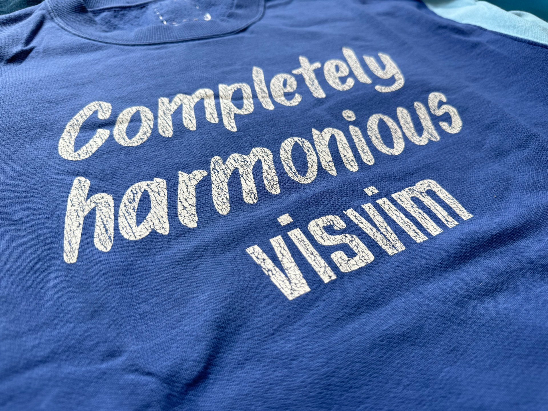 Visvim 26SS Limited Distressed Long Sleeve Tee — back