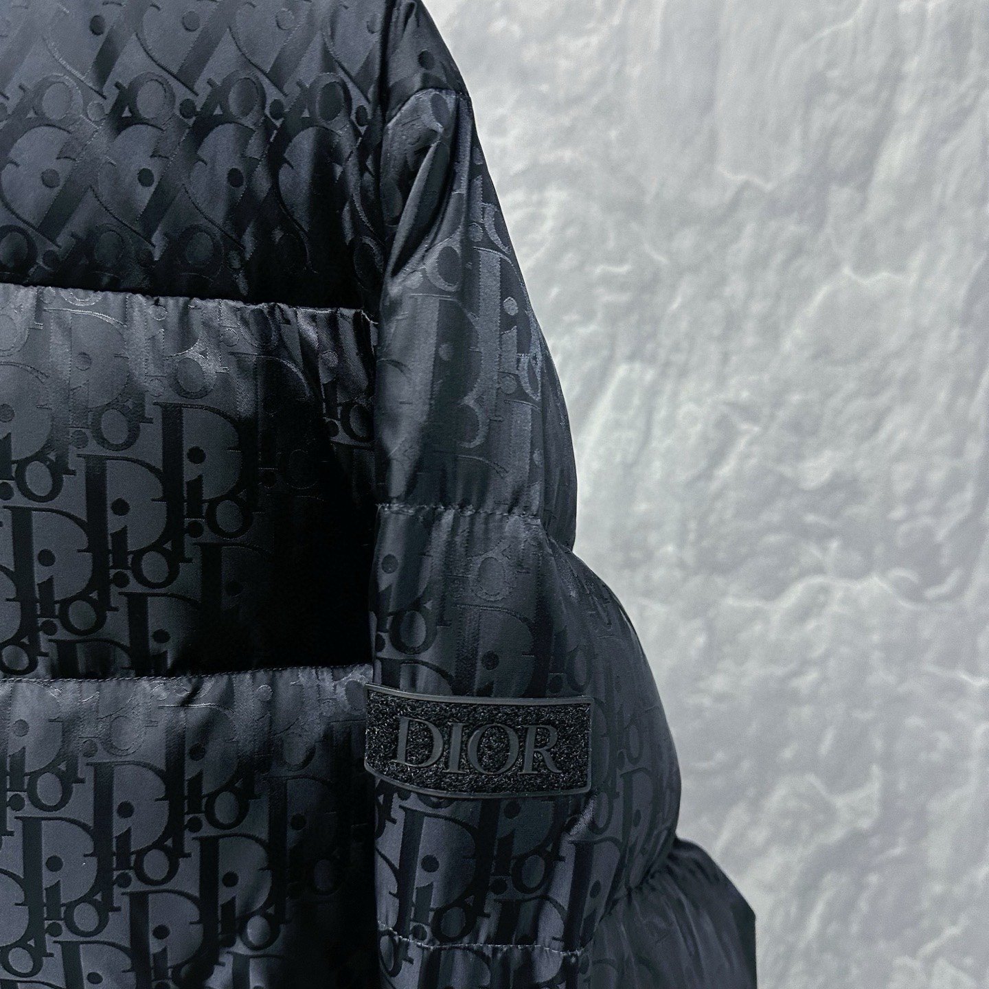 Dior Stand Collar Full Logo Down Jacket — detail