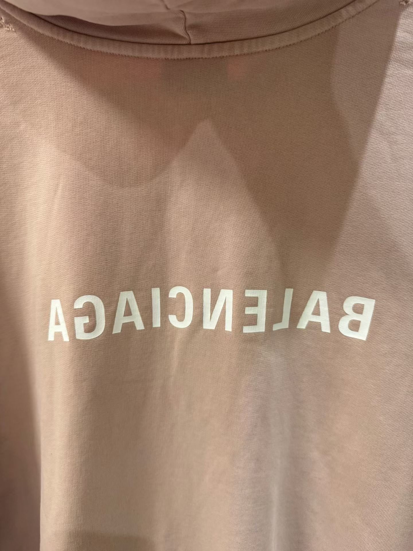 Balenciaga Pink Logo Zip Hoodie — detail