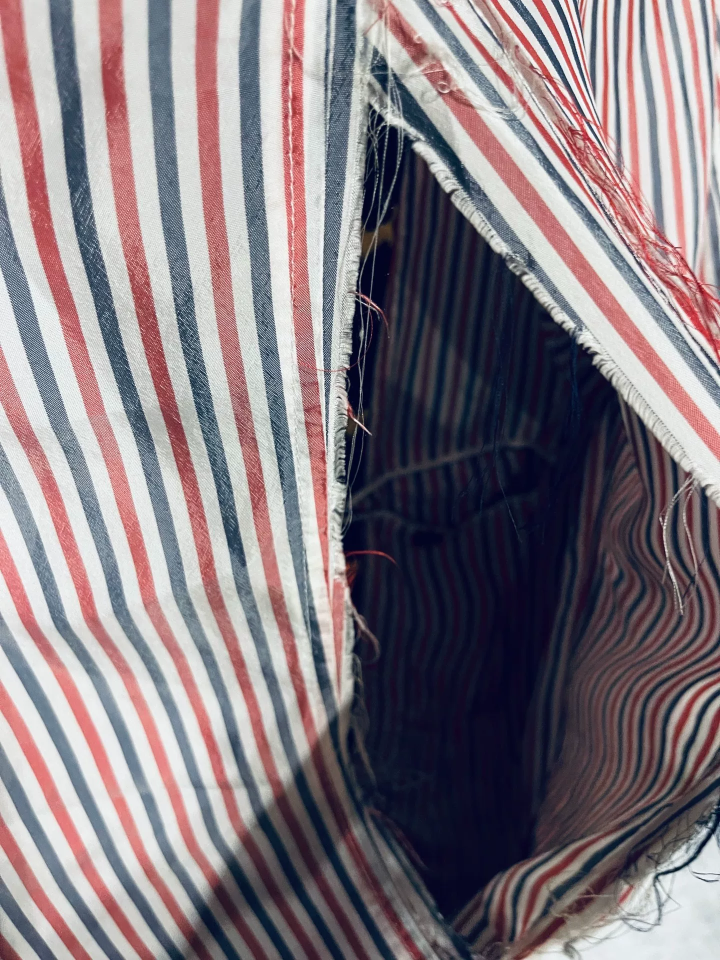 Thom Browne Dog Embroidery Runway Coat — back