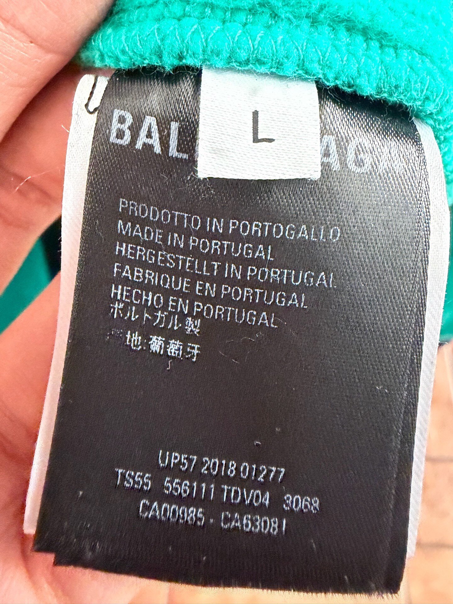 Balenciaga Wheat Logo Hoodie — back