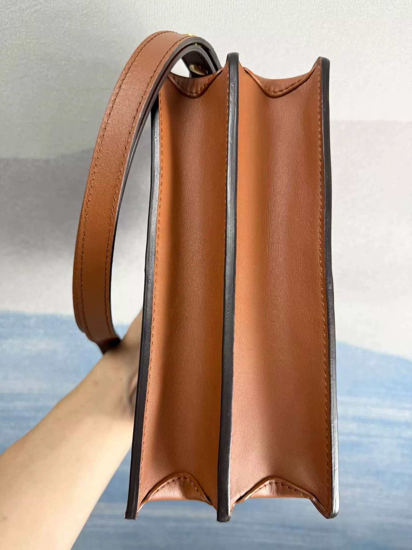 Louis Vuitton Dauphine Monogram Crossbody Bag — label