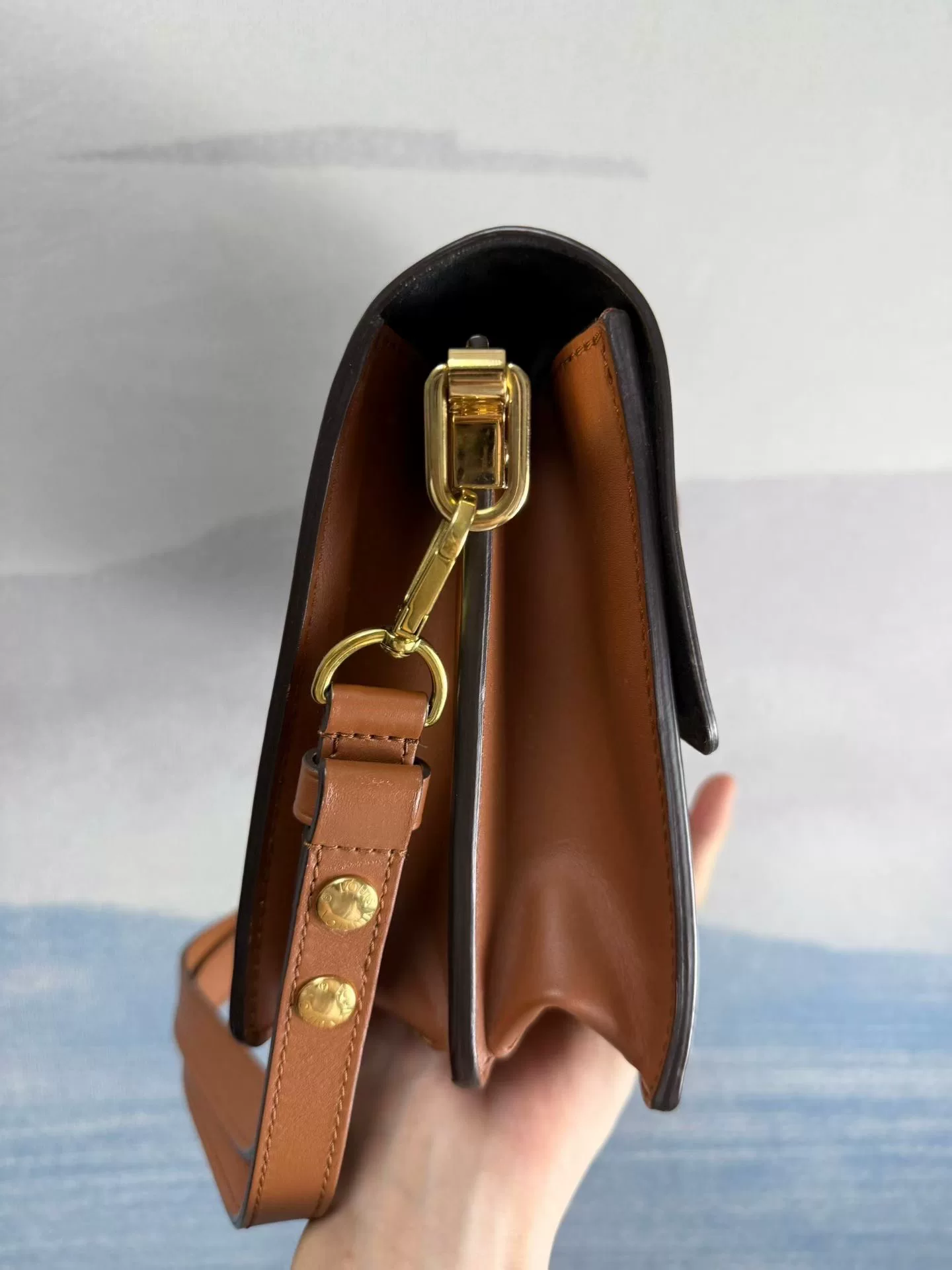 Louis Vuitton Dauphine Monogram Crossbody Bag — detail