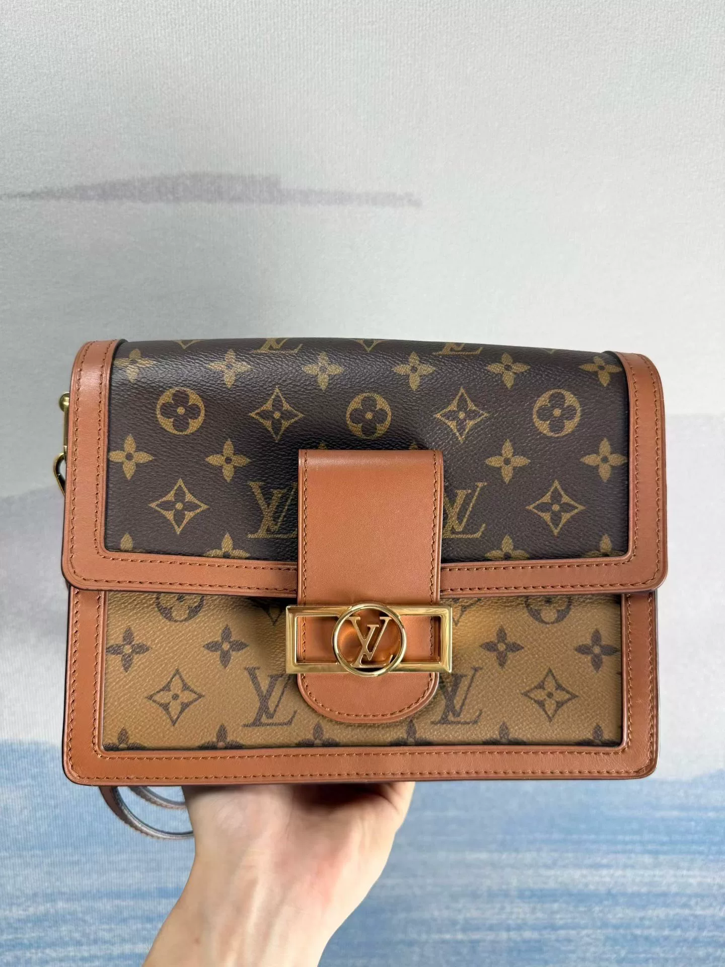 Louis Vuitton Dauphine Monogram Crossbody Bag