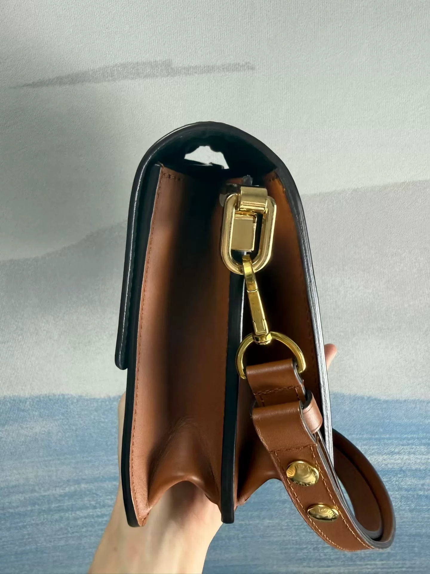 Louis Vuitton Dauphine Monogram Crossbody Bag — back