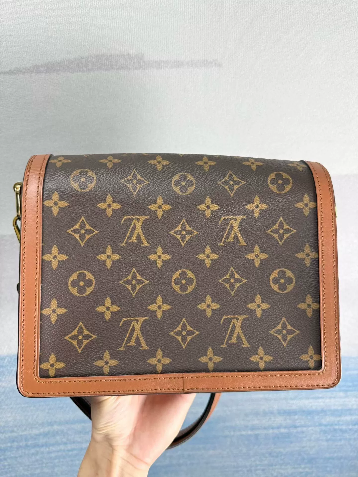 Louis Vuitton Dauphine Monogram Crossbody Bag — front