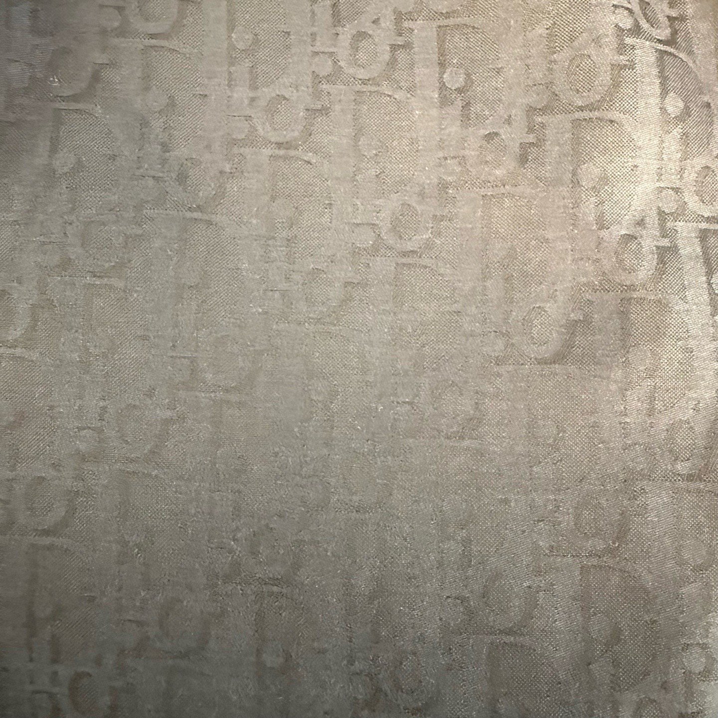 Dior 2026 Navy Monogram Silk Shorts — detail