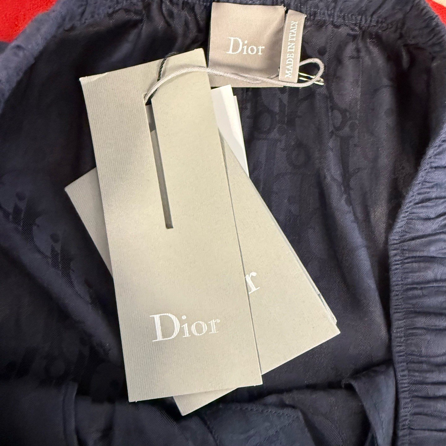 Dior 2026 Navy Monogram Silk Shorts — back