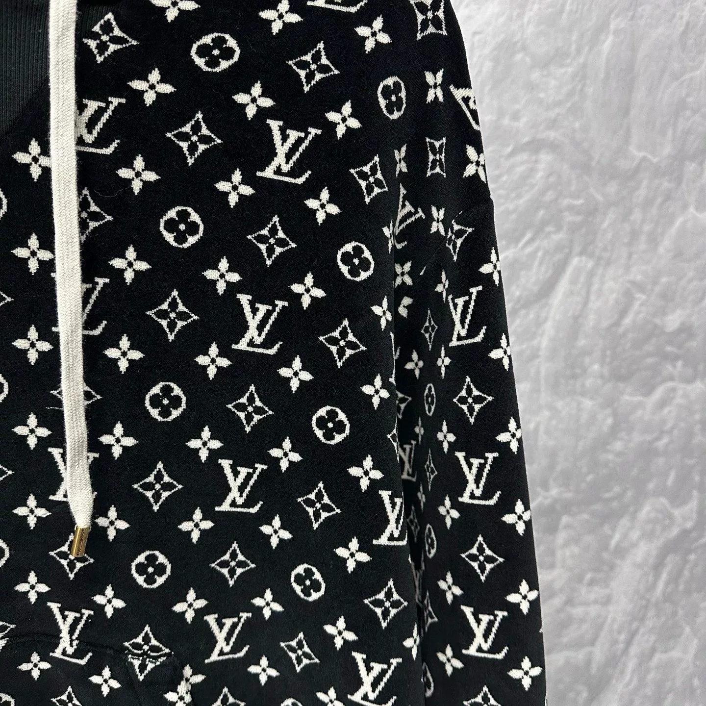 Louis Vuitton Monogram Velvet Hoodie XS — back