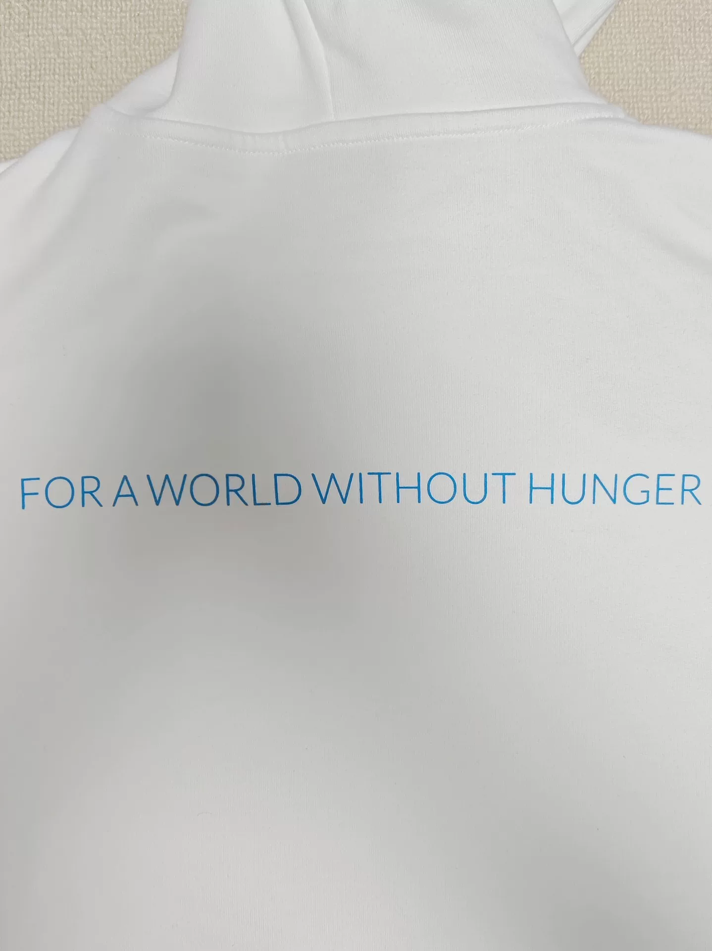 Balenciaga x WFP 23SS Hoodie — back