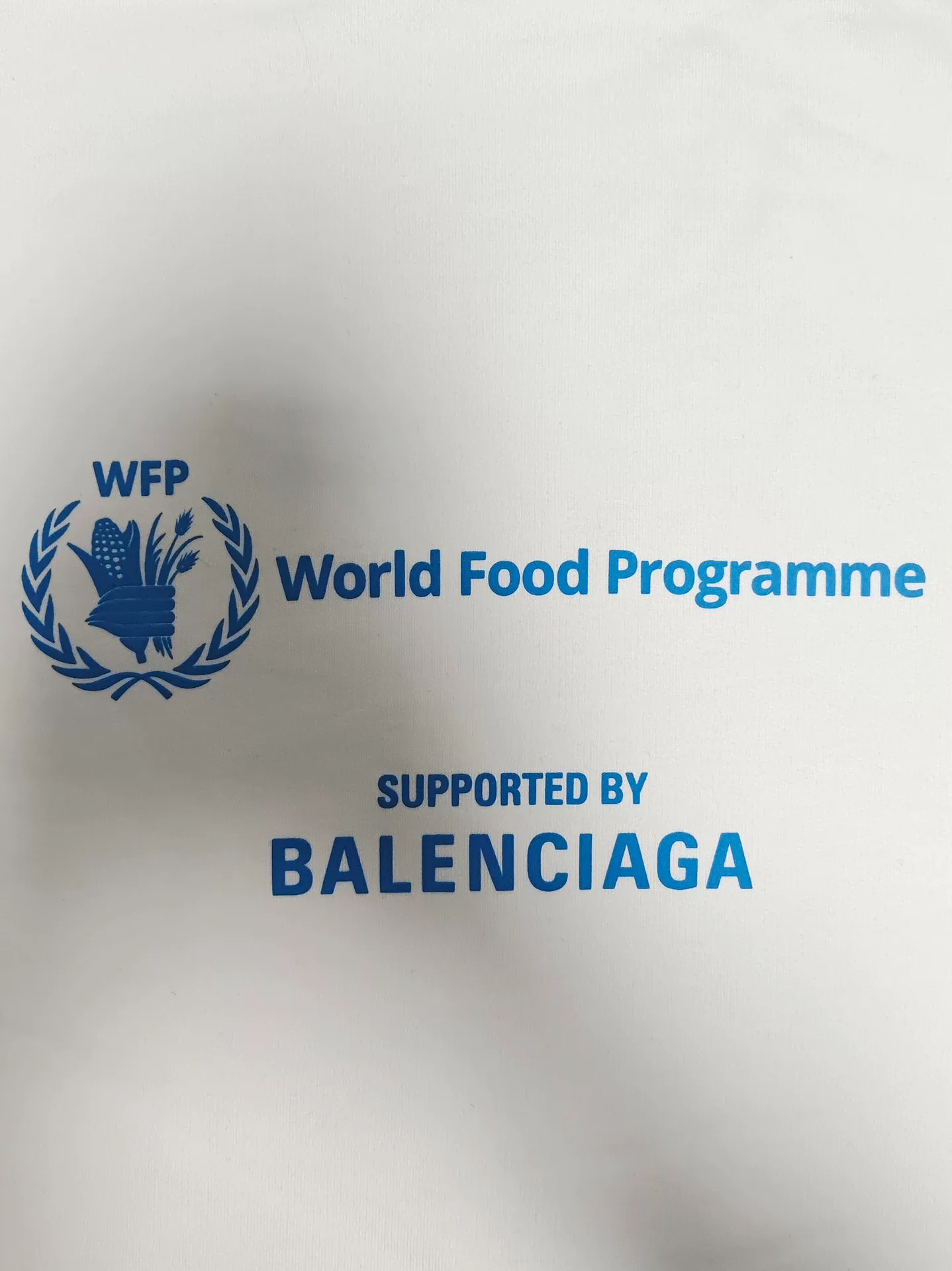 Balenciaga x WFP 23SS Hoodie — detail