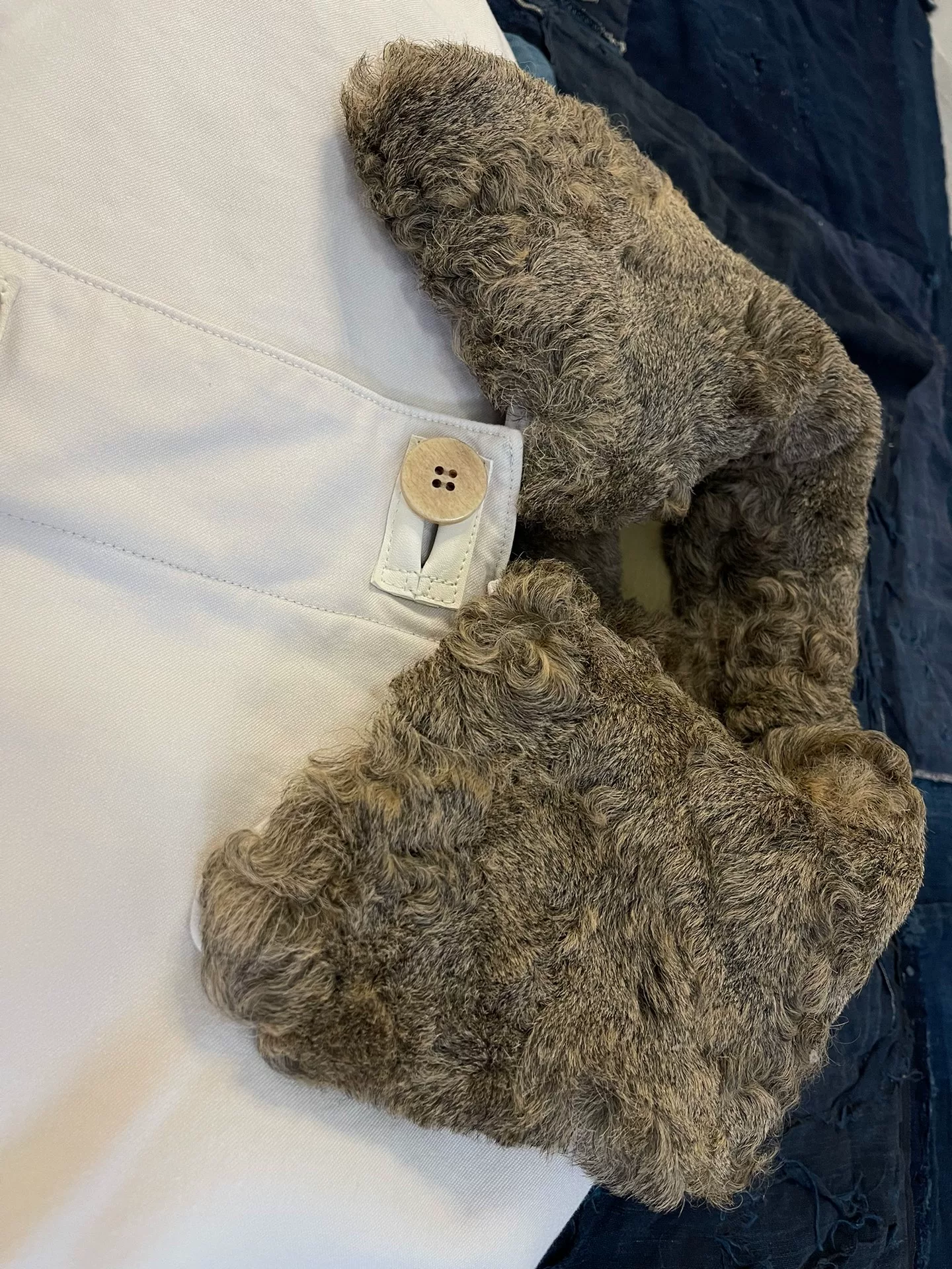 VISVIM 24AW WINFIELD COAT — back