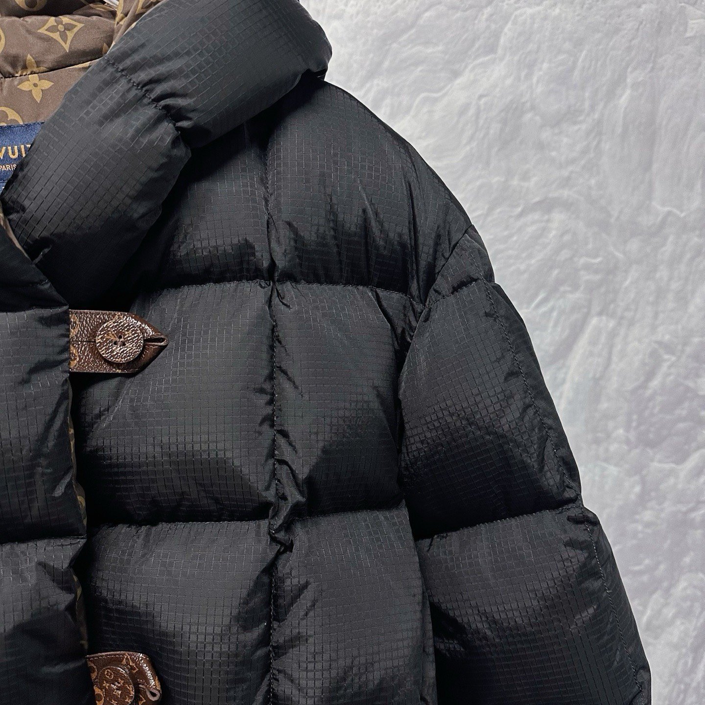 Louis Vuitton Capsule Hooded Down Jacket — back