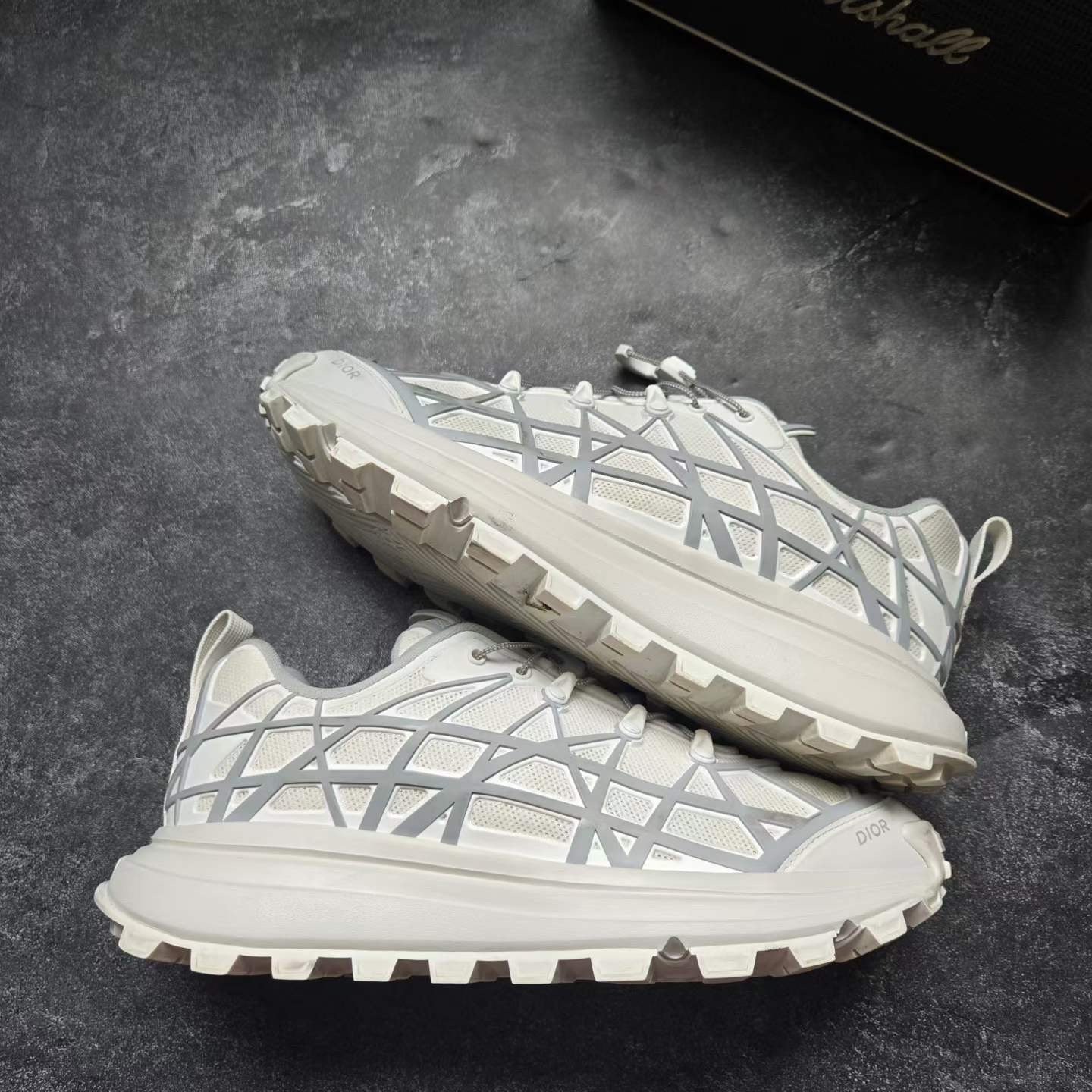 Dior B31 Gray Sneakers — label