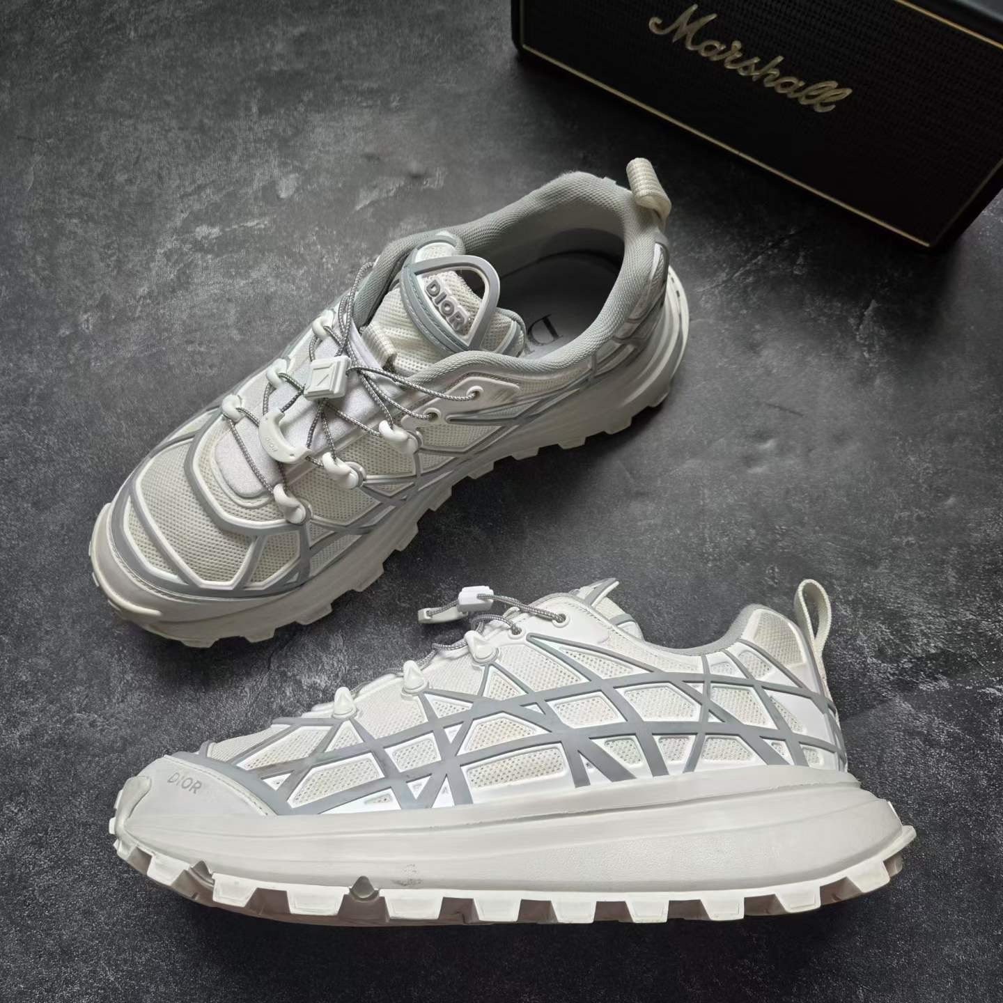 Dior B31 Gray Sneakers — detail