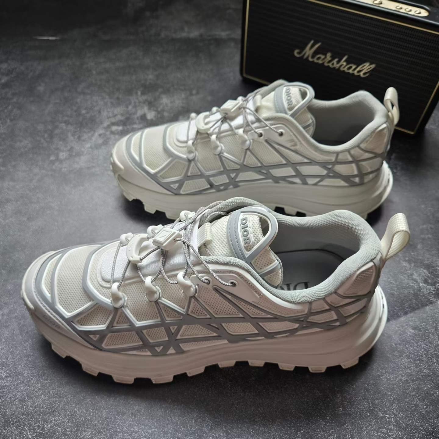 Dior B31 Gray Sneakers