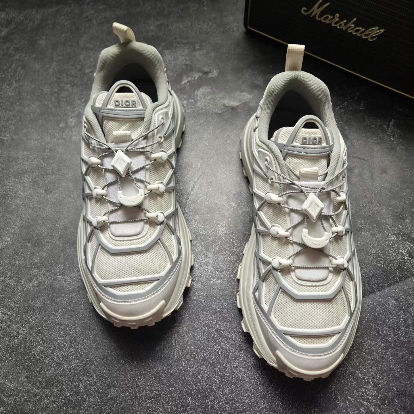 Dior B31 Gray Sneakers — front