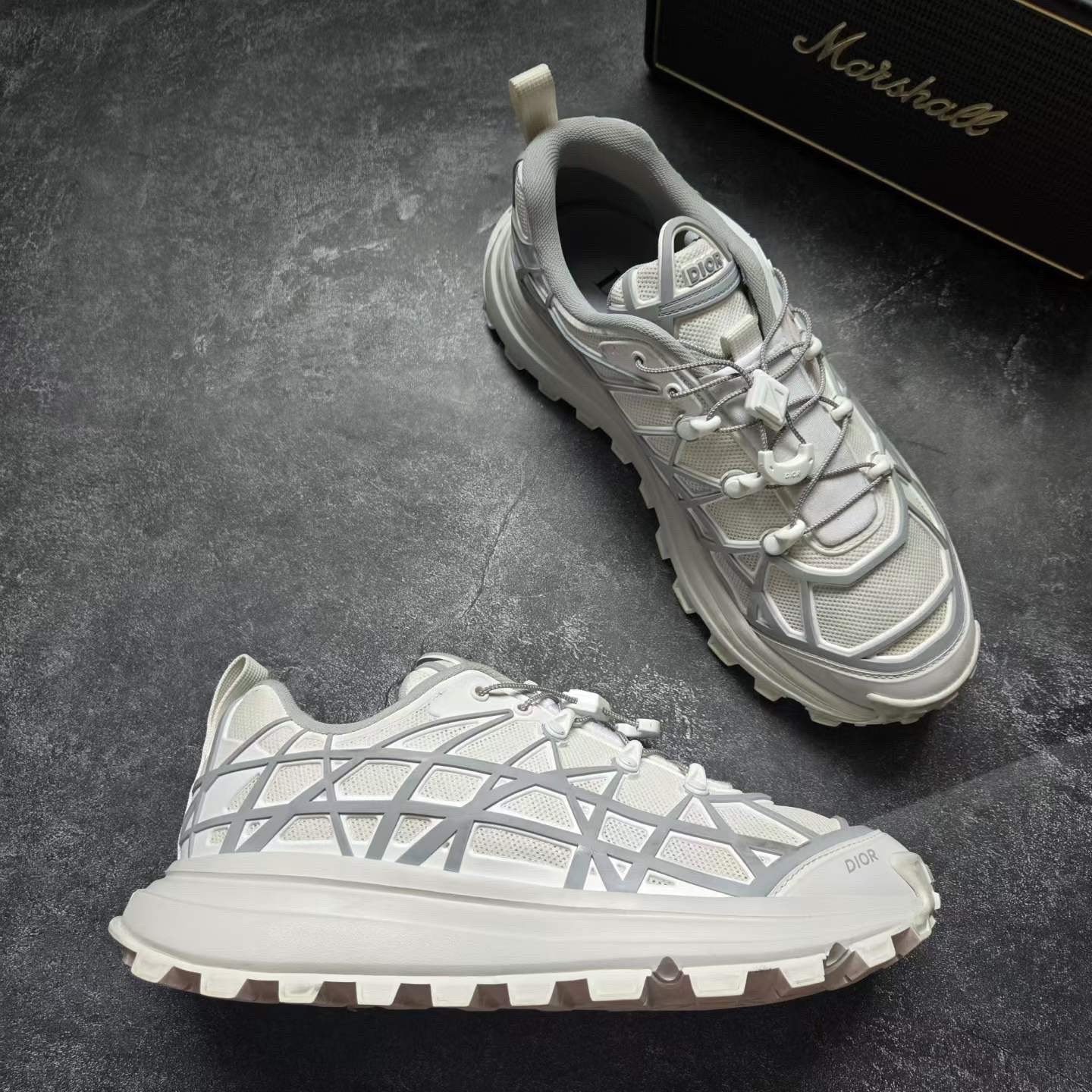Dior B31 Gray Sneakers — back