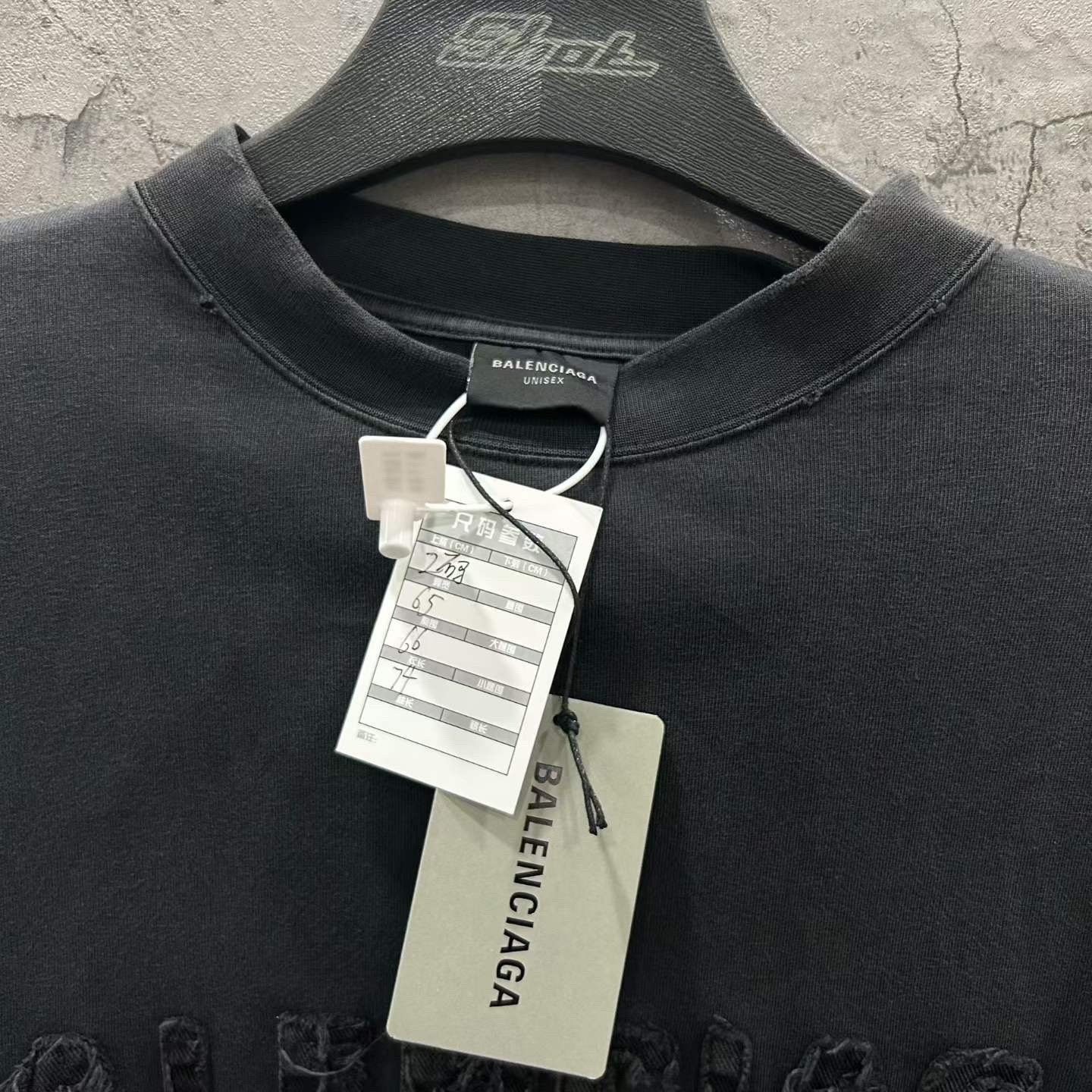 Balenciaga 25SS Distressed Logo Long-Sleeve Sweatshirt — back