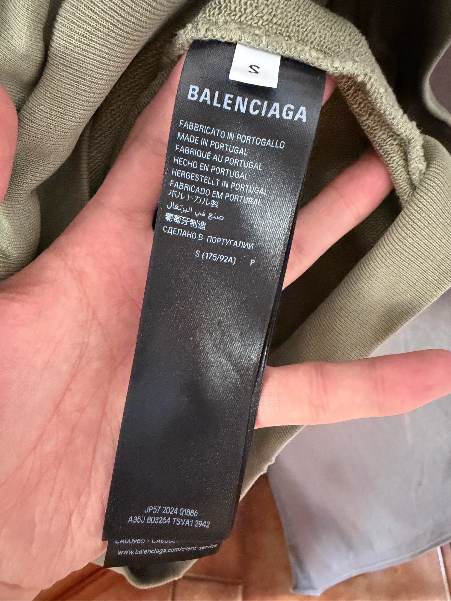 Balenciaga Distressed Logo Zip Hoodie — back
