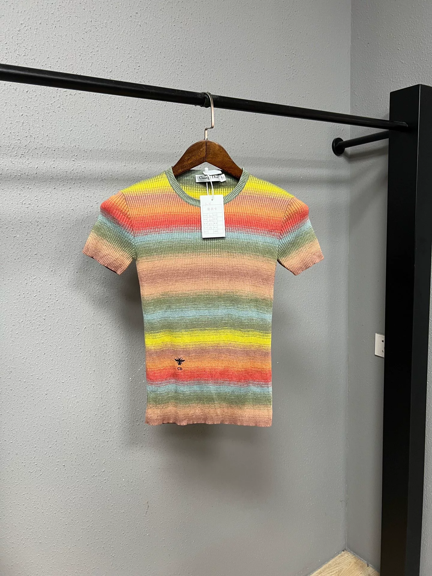 Dior Rainbow Bee Short Sleeve Knit