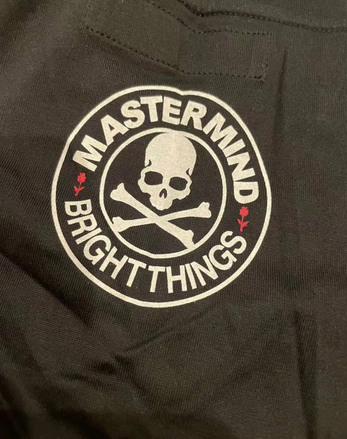 Mastermind Japan x Bright Things Tee — back