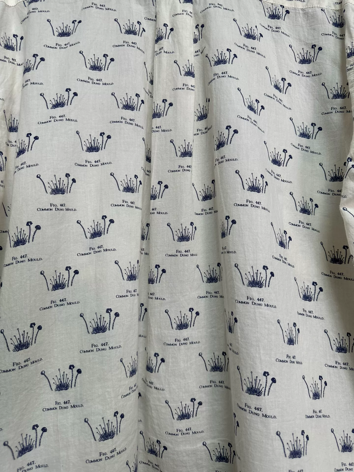 Paul Harnden Mushroom Print Shirt — back