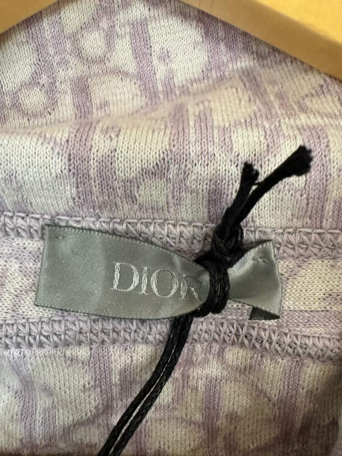 Dior Lined Full Logo Zip Hoodie — back