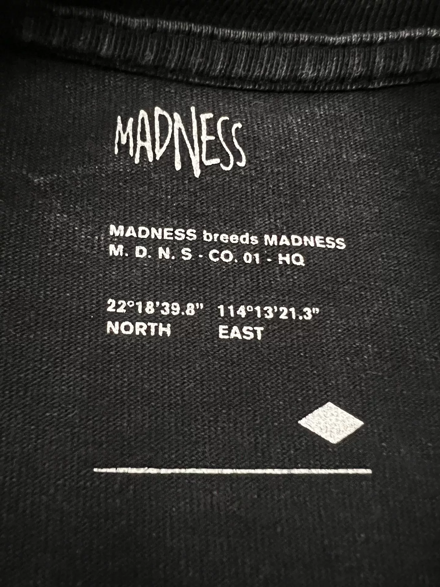 Madness 19FW Snow-Wash Embroidered Sweatshirt — detail