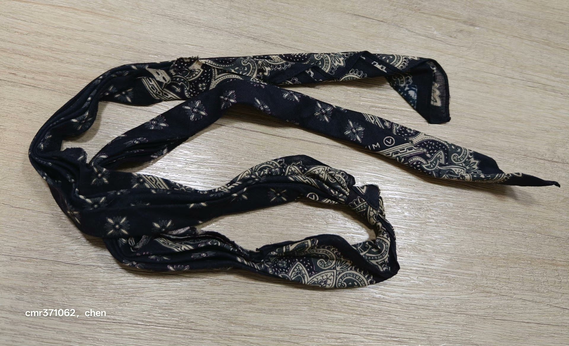 visvim 20 ICT Bandana Belt — back