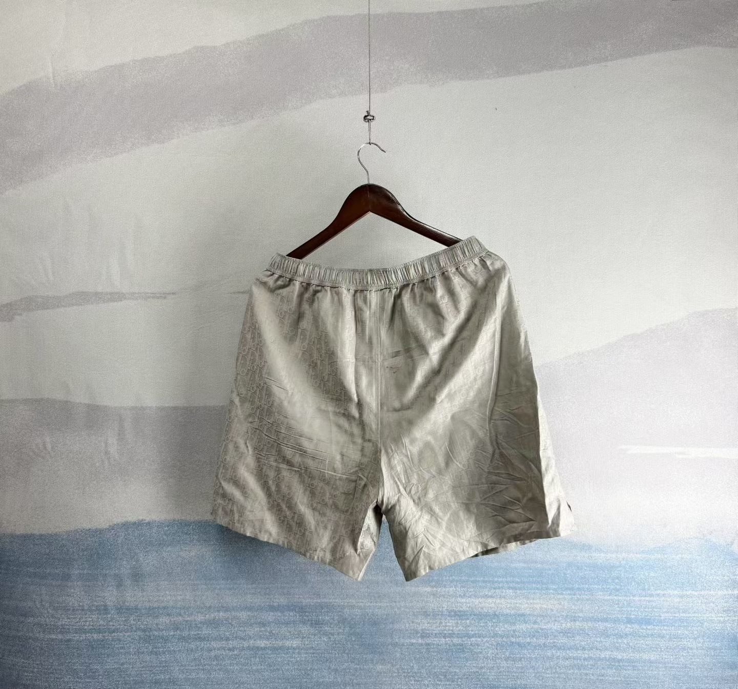 Dior Gray All-Over Print Silk Shorts — detail