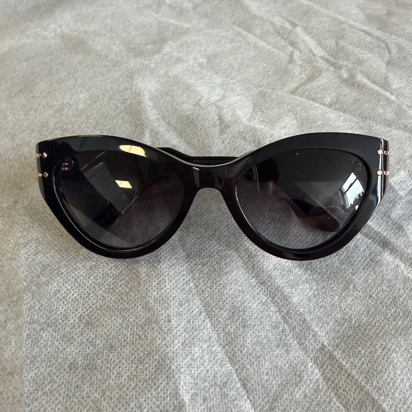 Dior Logo Acetate Irregular Women's Sunglasses