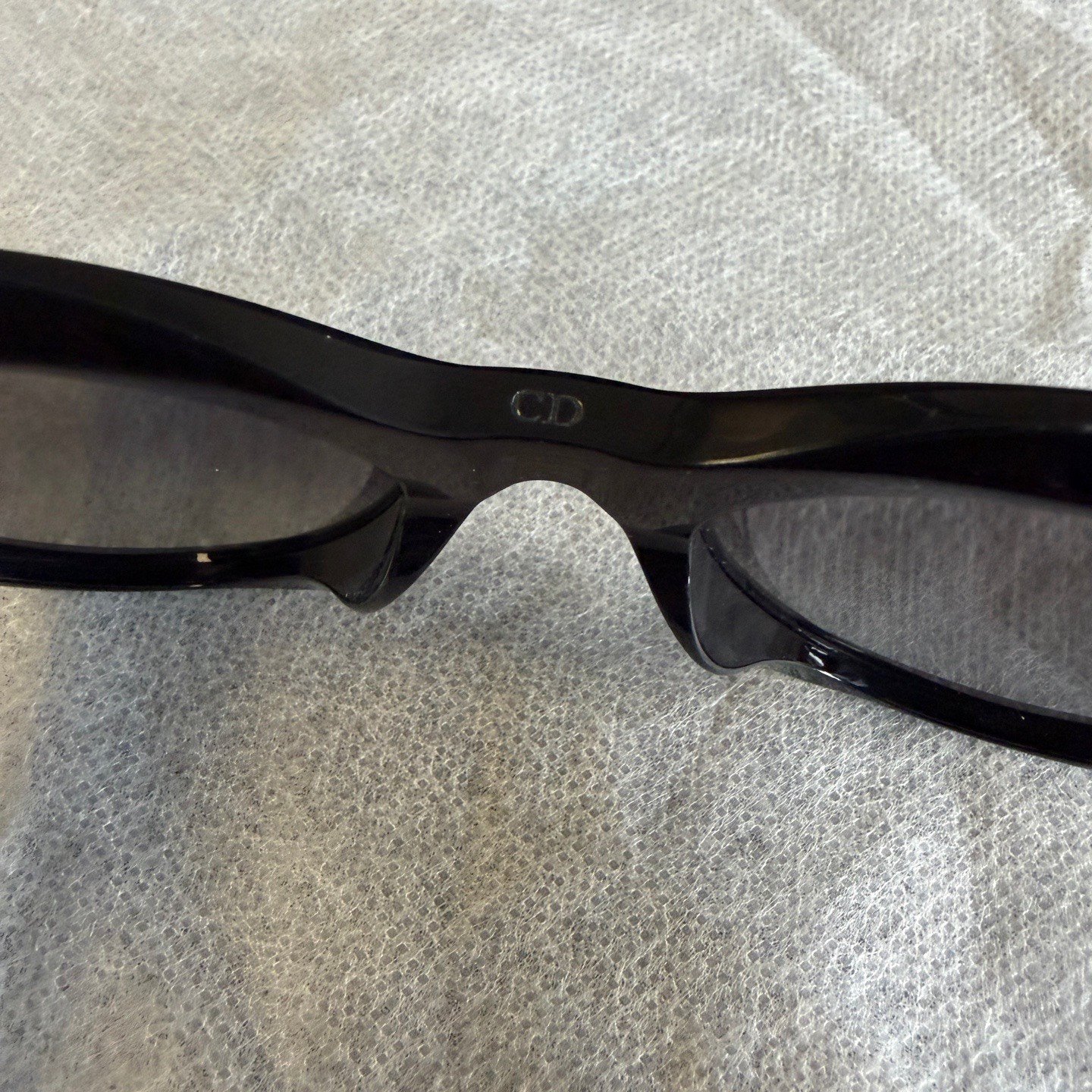 Dior Logo Acetate Irregular Women's Sunglasses — back