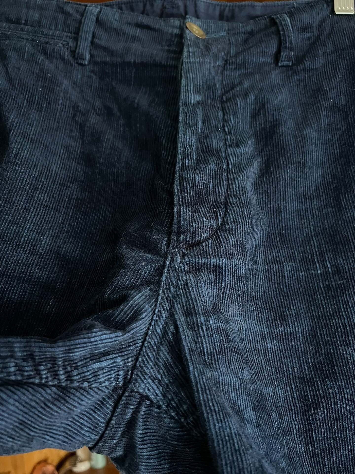 visvim ict 2017 plant-dyed corduroy shorts — back