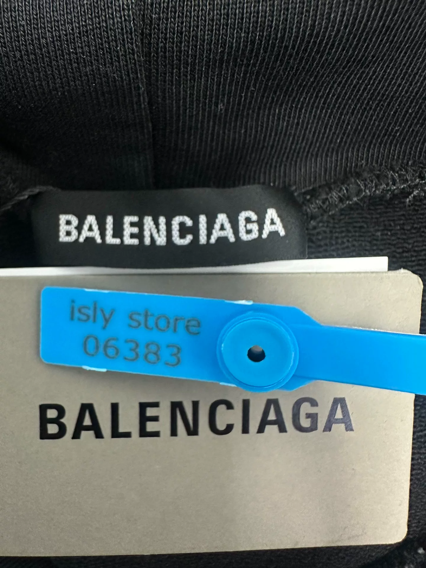 Balenciaga Portrait Logo Print Hoodie — back