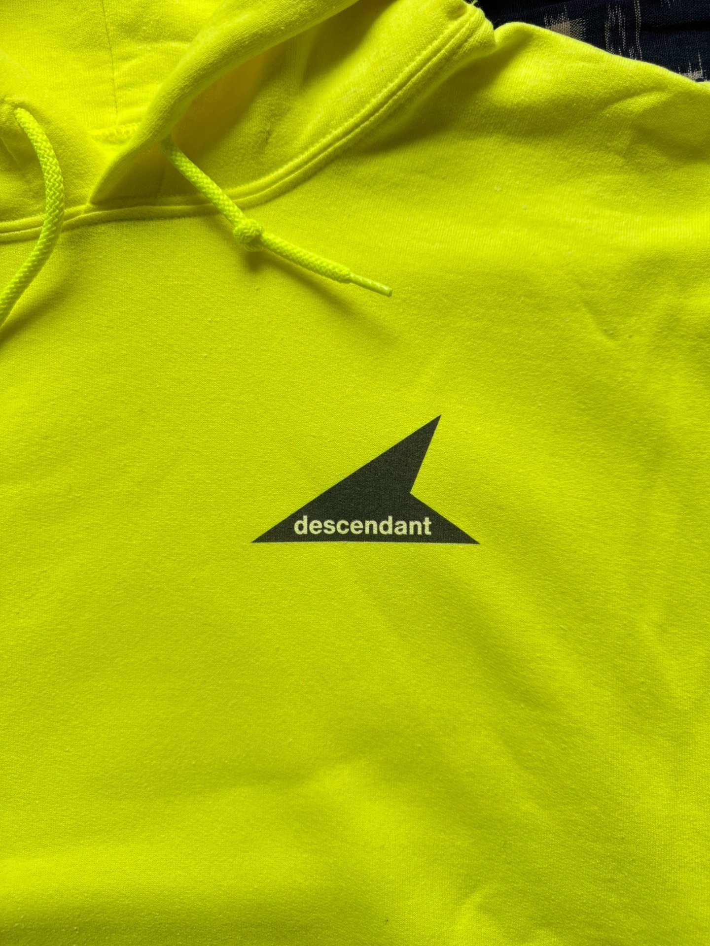 Descendant Orca Hooded Sweatshirt — back
