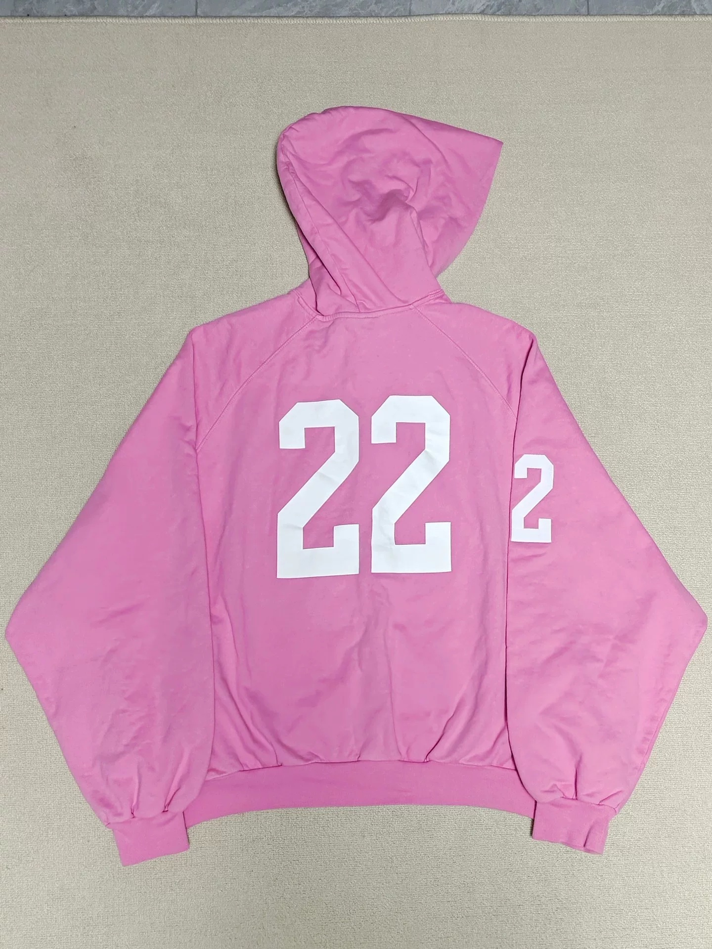 Balenciaga Pink Horse Zip-Up Hoodie — front