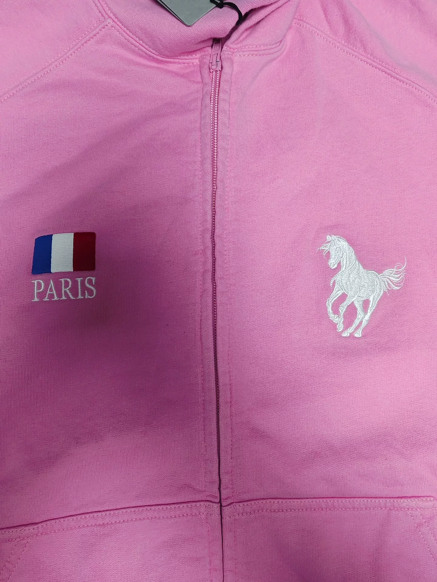 Balenciaga Pink Horse Zip-Up Hoodie — back
