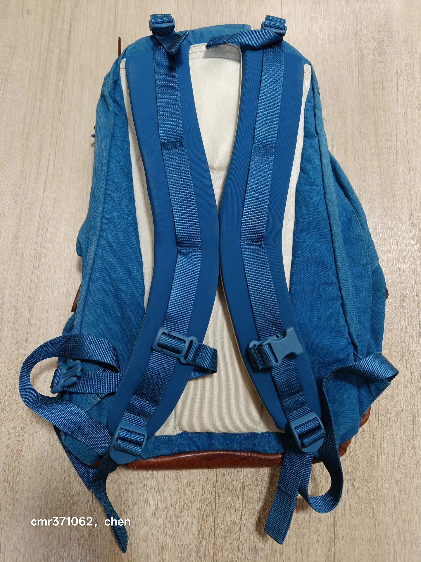 VISVIM LAMINARIA 22L Backpack — back